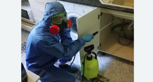 Уничтожение муравьев в квартире. Суровикино