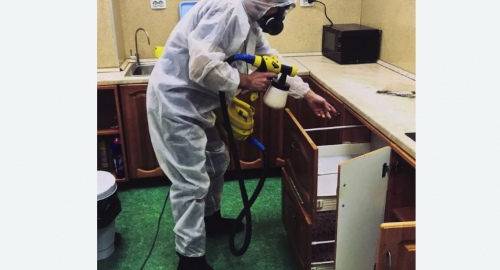 Уничтожение насекомых в квартире. Суровикино