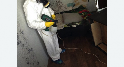 Обработка квартир от насекомых в Суровикино