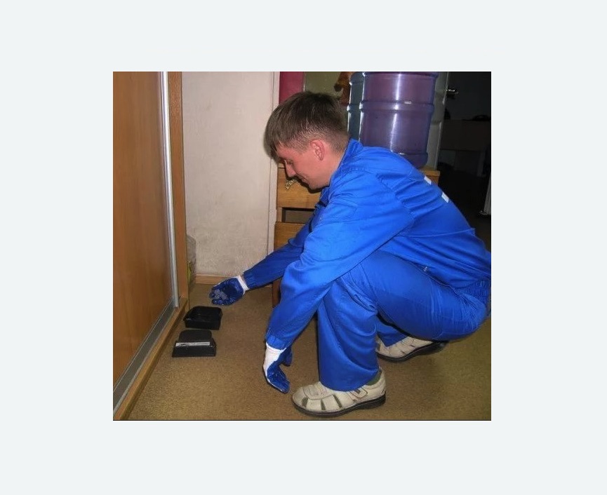 Дератизация крыс в Суровикино