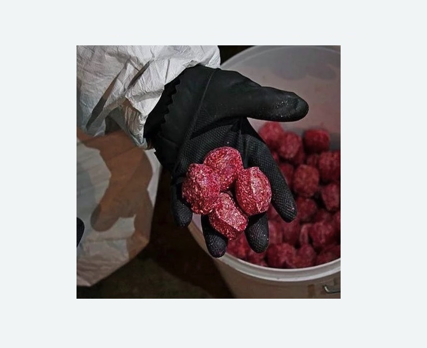 Обработка от крыс в Суровикино