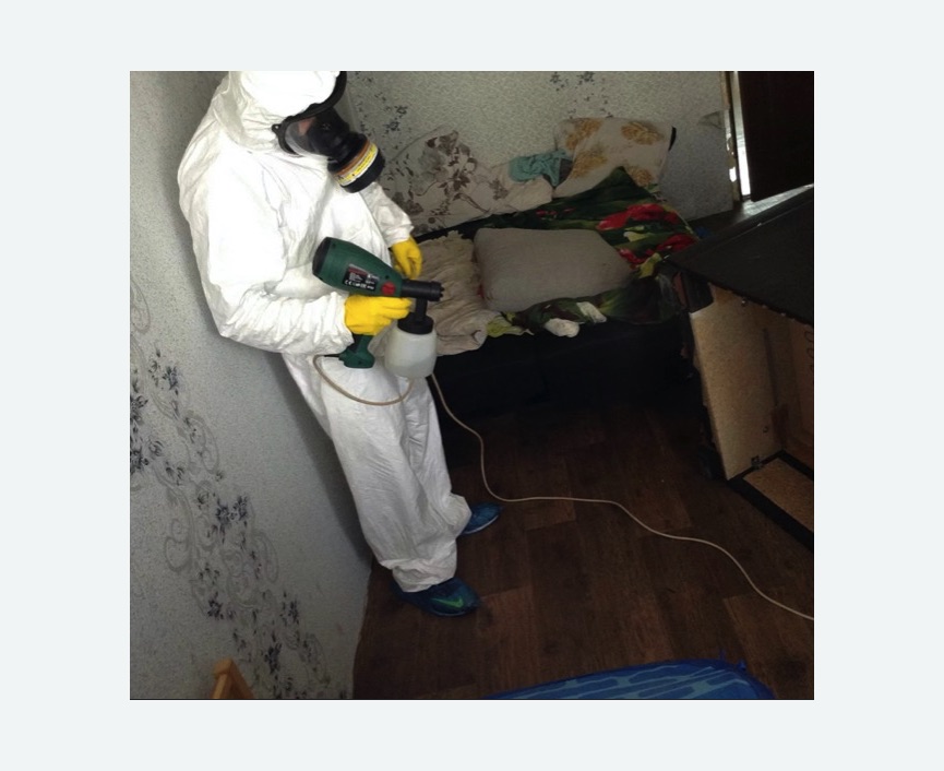 Обработка от насекомых в Суровикино Обработка квартиры от насекомых