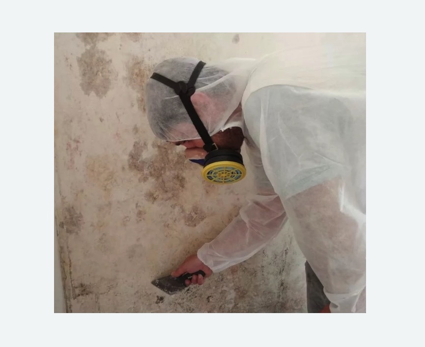Обработка стен от плесени в Суровикино