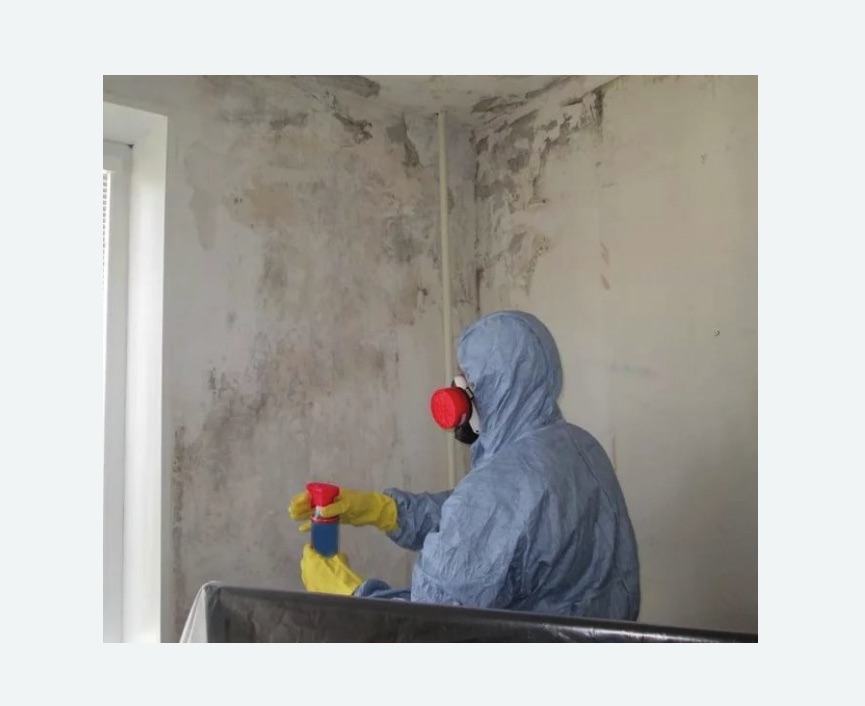 Удаление плесени в квартире в Суровикино