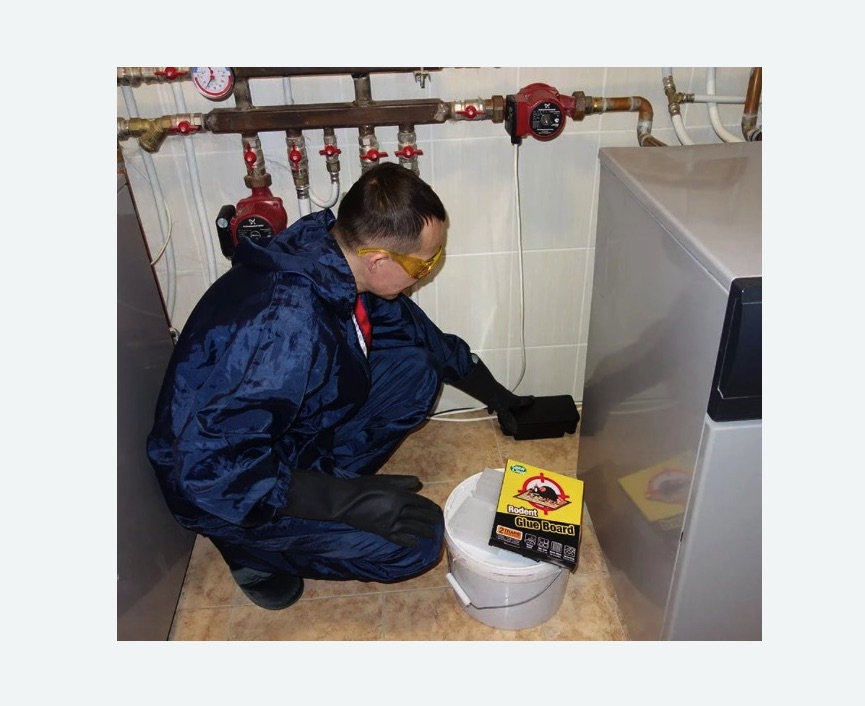 Уничтожение крыс в Суровикино