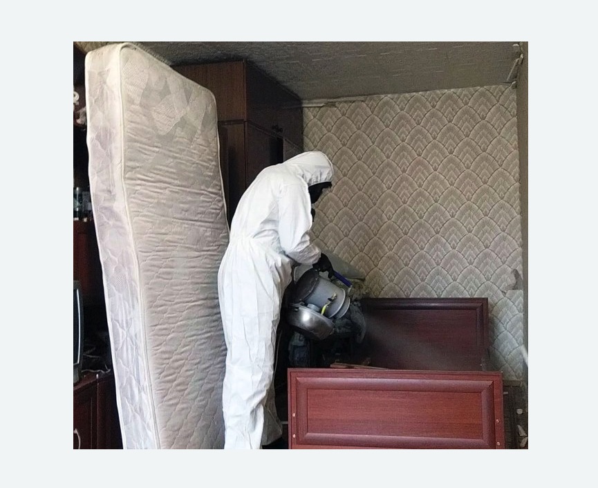 дезинфекция от клопов в Суровикино