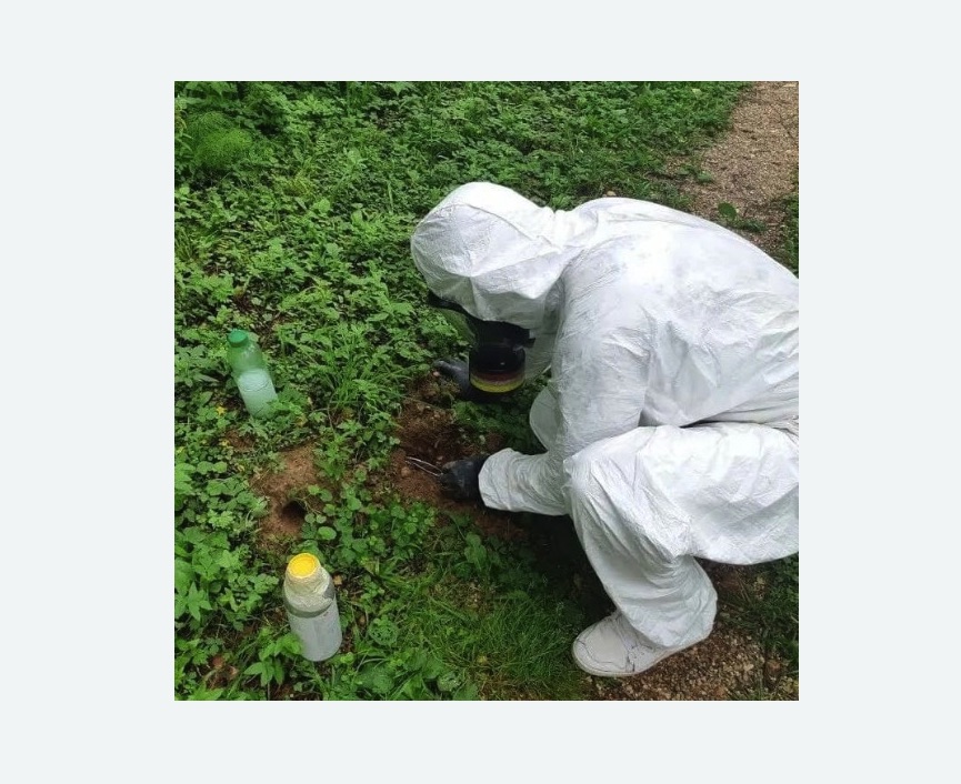 уничтожение кротов на участке в Суровикино