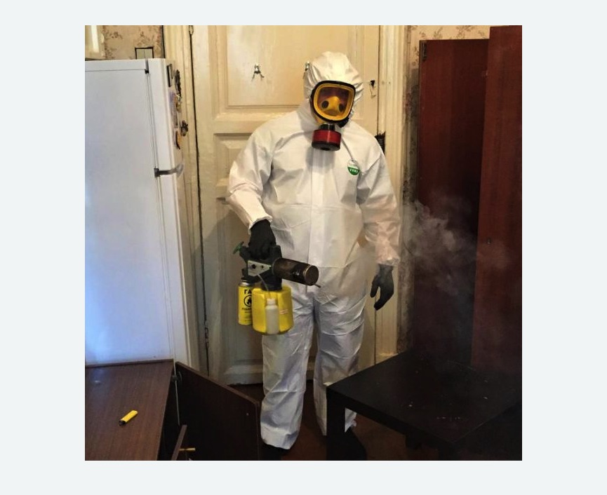 уничтожение муравьев в квартире в Суровикино